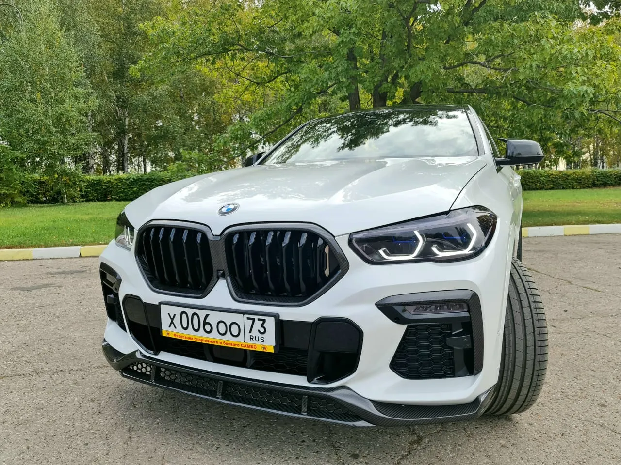 Check our price and buy a Renegade Design  Body kit set for BMW X6 G06