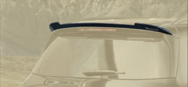 Roof spoiler Mansory Carbon for Mercedes GLS X167