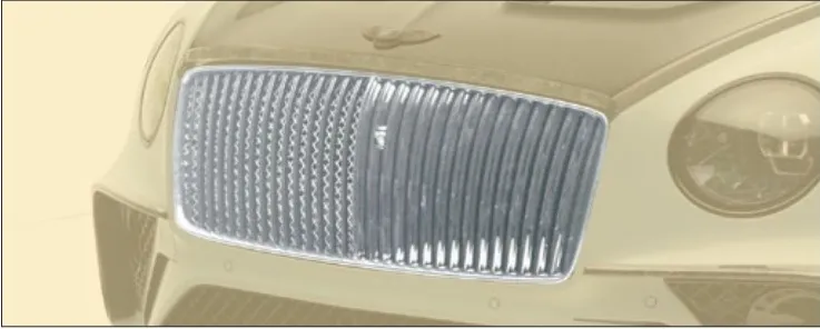 31 Lamels chromed grill Mansory for Bentey Continental GT