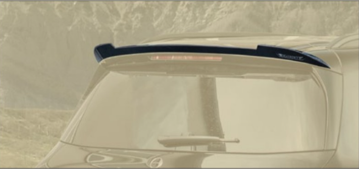 Roof spoiler Mansory Carbon for Mercedes GLS AMG63 X167