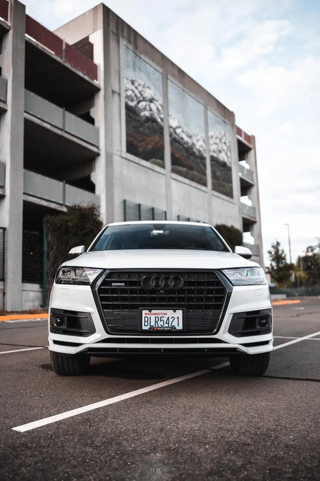 Check our price and buy Renegade Design body kit for  Audi Q7 4M Anubis