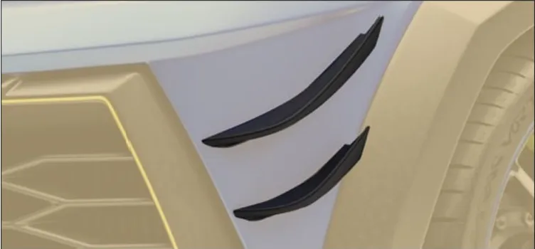 Race flaps Mansory Carbon for Lamborghini Urus Venatus