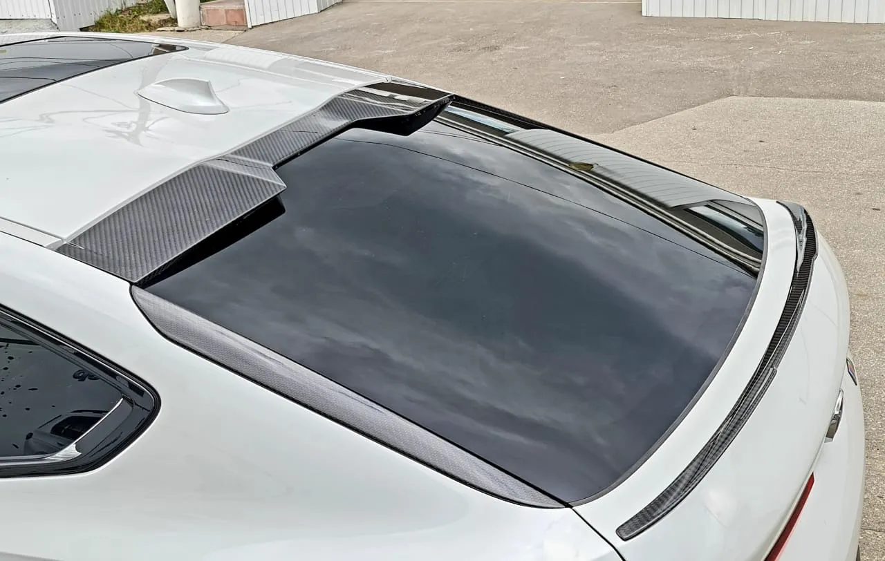 Check our price and buy a Renegade Design  Body kit set for BMW X6 G06