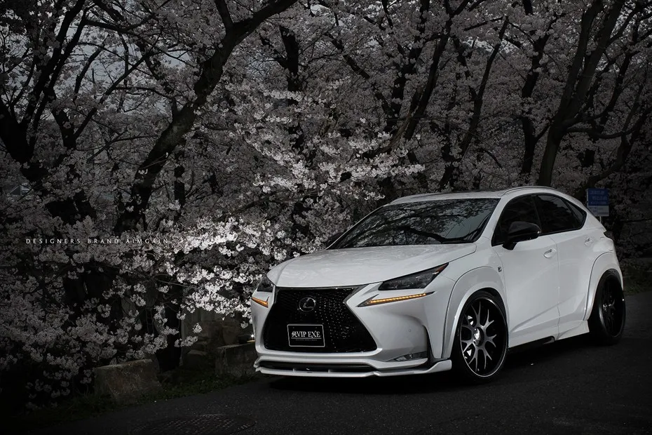Check our price and buy Aimgain body kit for Lexus NX 200t/300h