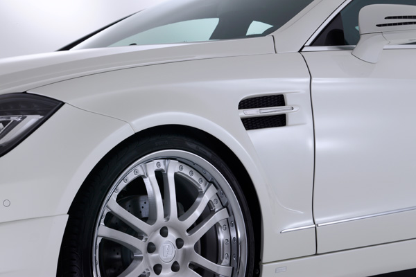 Check our price and buy Branew body kit for Mercedes-Benz CLS C218!