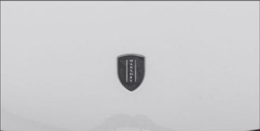 Logo emblem for engine bonnet Mansory Carbon for Porsche Taycan