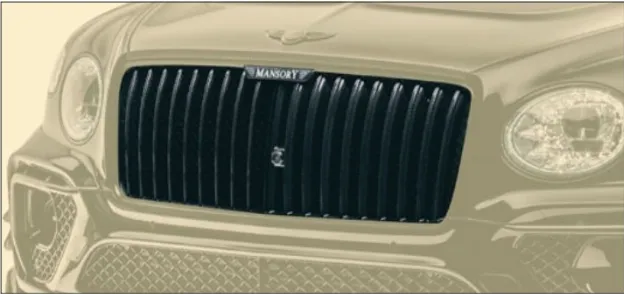 Lamels grill with logo Mansory Carbon for Bentley Bentayga W12 2020