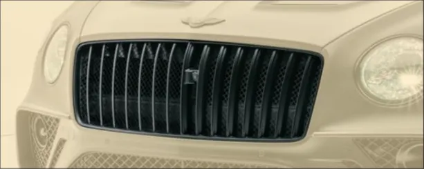 15 Lamels performance grill Mansory for Bentley Continental GT GTC V8