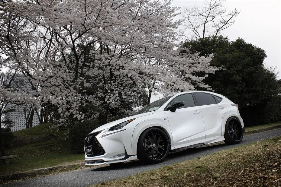 Check our price and buy Aimgain body kit for Lexus NX 200t/300h