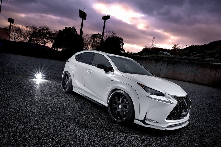 Check our price and buy Aimgain body kit for Lexus NX 200t/300h