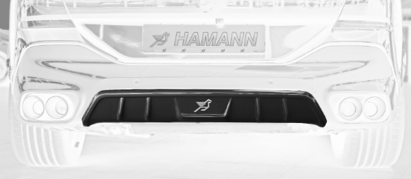 BMW X6 M F96, Hamann Tuning