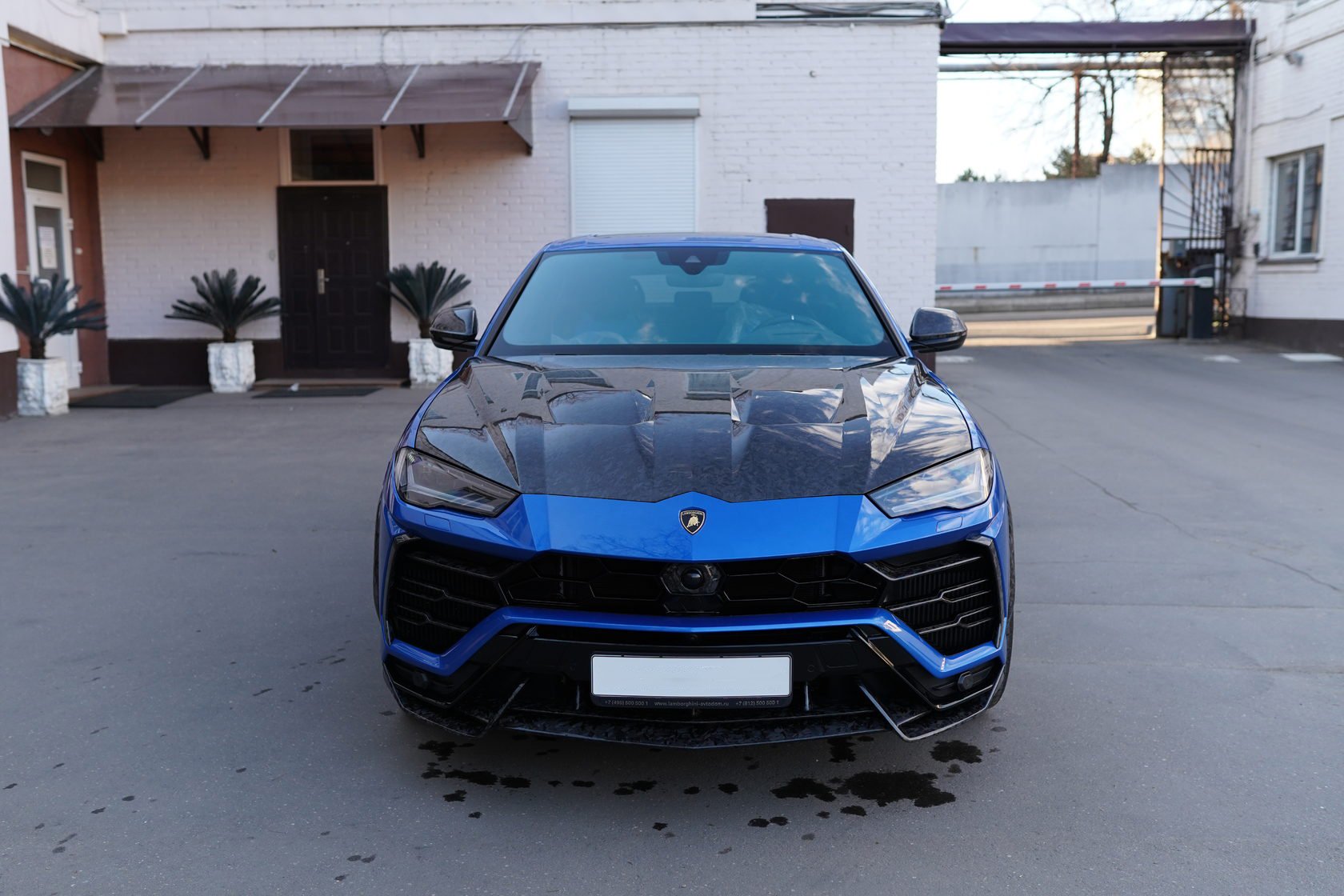 Hood Corsa Forged Carbon for Lamborghini Urus