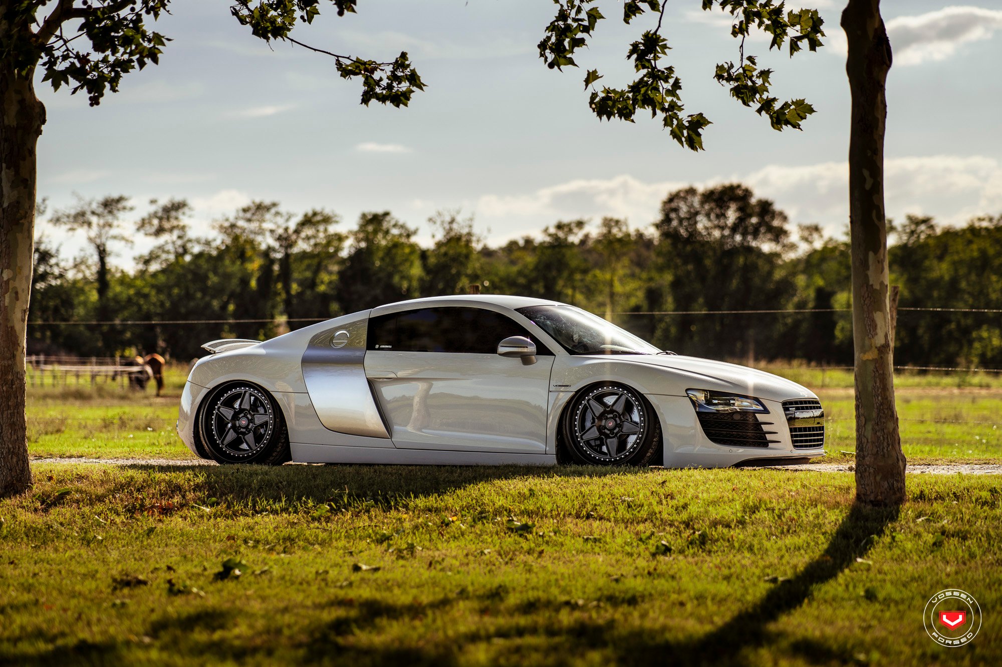 Vossen ERA-2