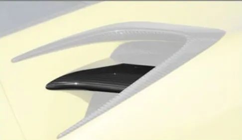 Air outtakes splitter I Mansory Carbon for Ferrari 488 Siracusa 4XX