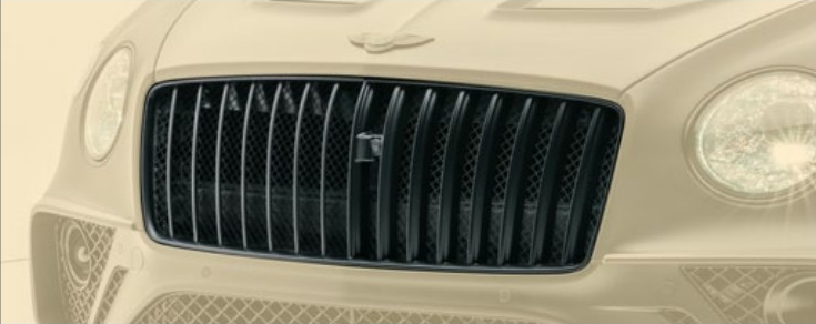 15 Lamels performance grill Mansory for Bentey Continental GT