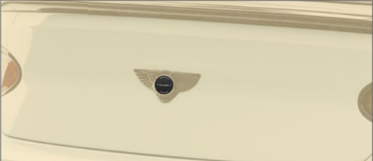 Logo for trunk lid Mansory Carbon for Bentley Bentayga V8 2020